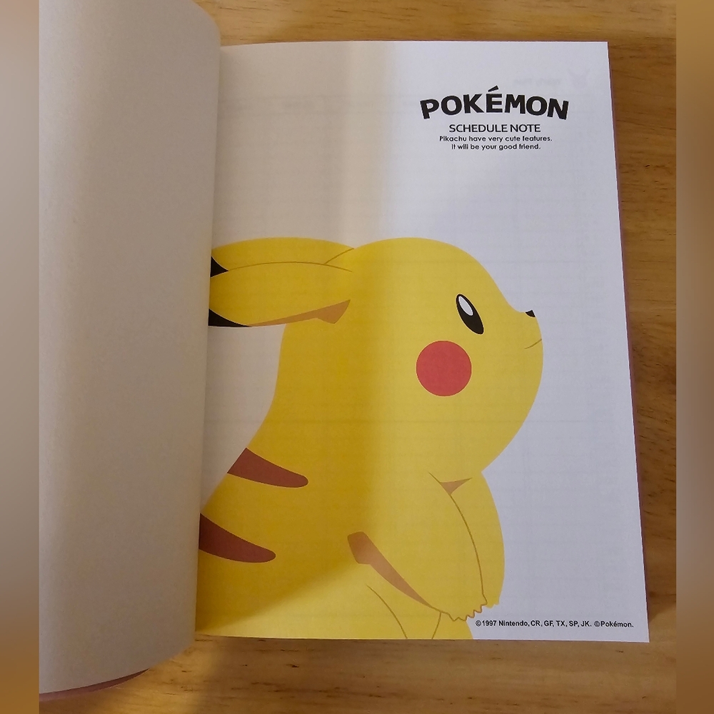 Pink Planner - Picture 5 of 6